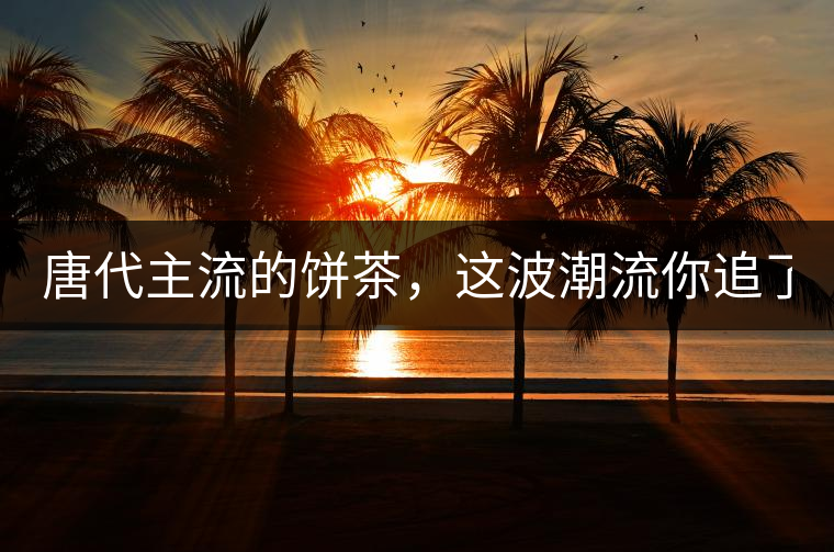 唐代主流的餅茶，這波潮流你追了嗎？
