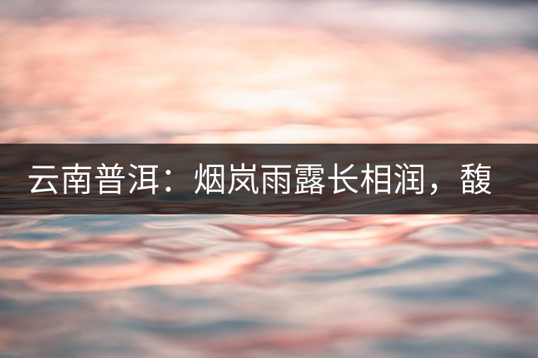 云南普洱：煙嵐雨露長相潤，馥郁芳香久久留