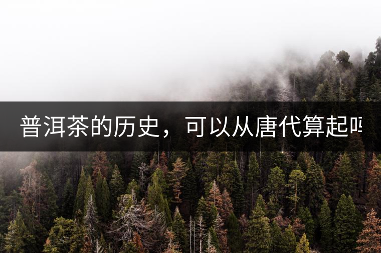 普洱茶的歷史，可以從唐代算起嗎？