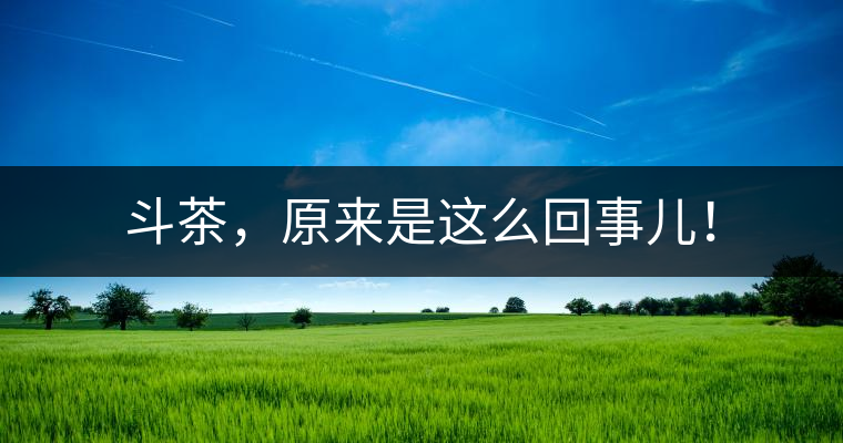 斗茶，原來是這么回事兒！