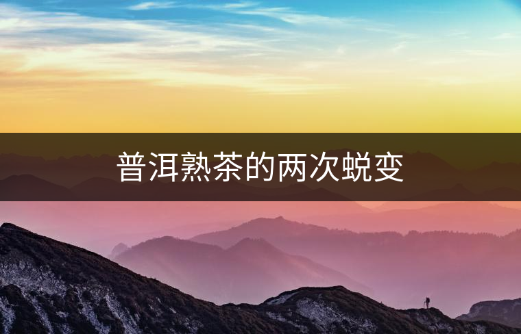 普洱熟茶的兩次蛻變