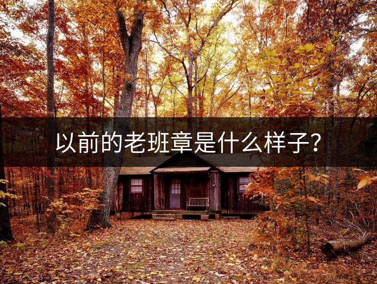 以前的老班章是什么樣子？