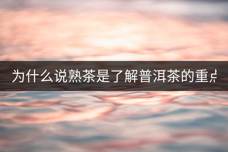為什么說熟茶是了解普洱茶的重點？