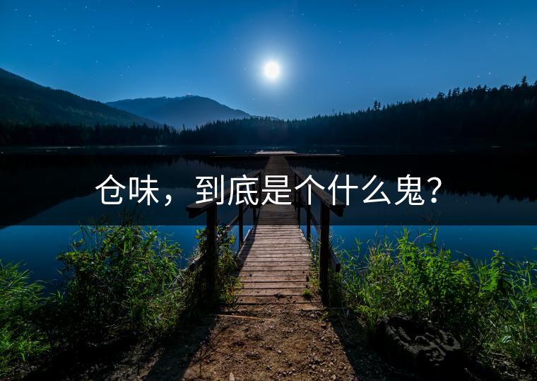 倉味，到底是個(gè)什么鬼？