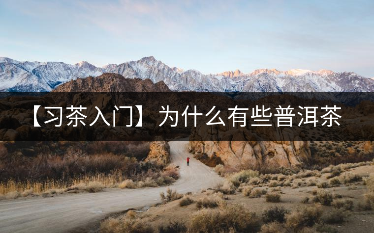 【習(xí)茶入門】為什么有些普洱茶會發(fā)酸？