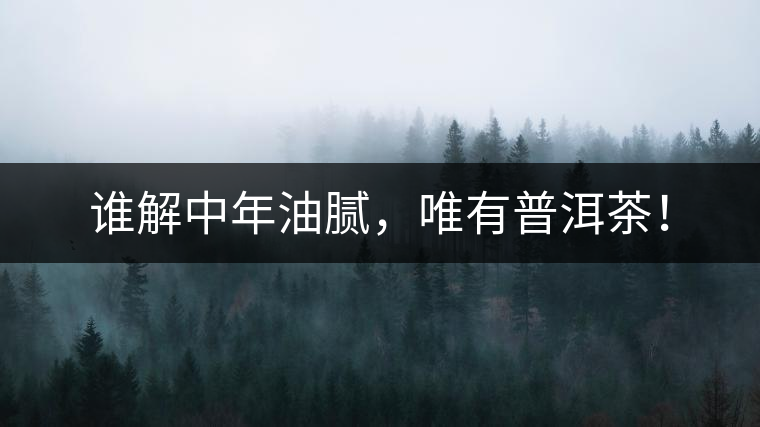 誰(shuí)解中年油膩，唯有普洱茶！