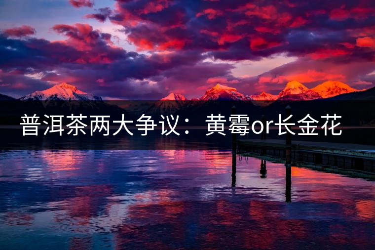 普洱茶兩大爭(zhēng)議：黃霉or長金花，生蟲or蟲屎茶
