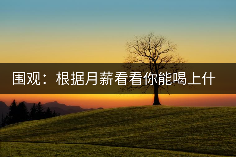 圍觀：根據(jù)月薪看看你能喝上什么茶？
