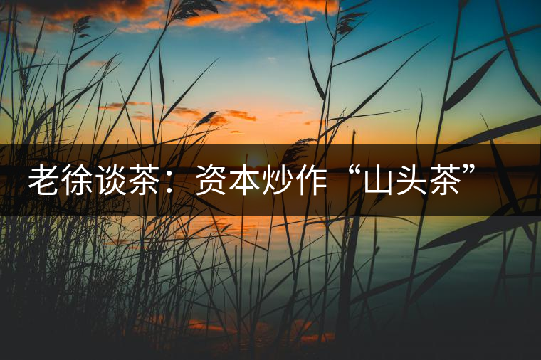 老徐談茶：資本炒作“山頭茶”—普洱茶何去何從？