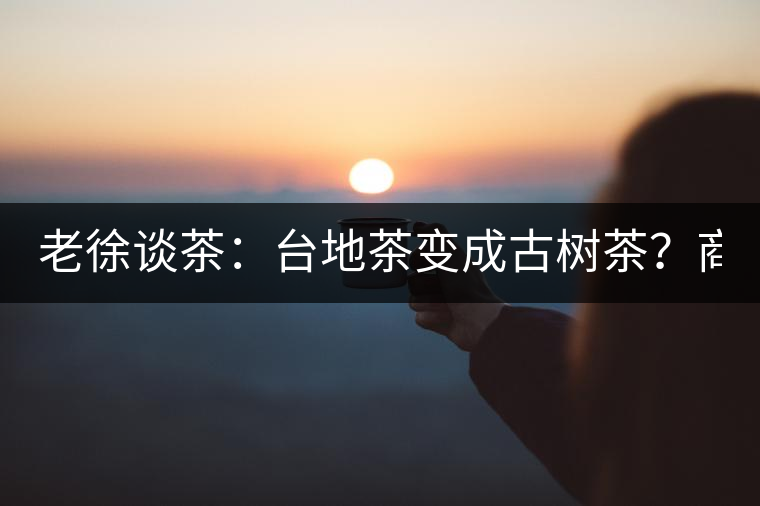 老徐談茶：臺地茶變成古樹茶？商家用這4招騙過你(2)