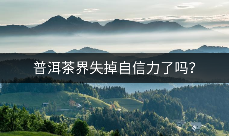 普洱茶界失掉自信力了嗎？