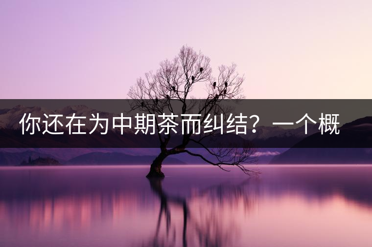 你還在為中期茶而糾結(jié)？一個(gè)概念罷了