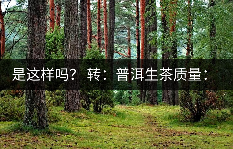 是這樣嗎？ 轉(zhuǎn)：普洱生茶質(zhì)量：大廠和小廠沒有區(qū)別