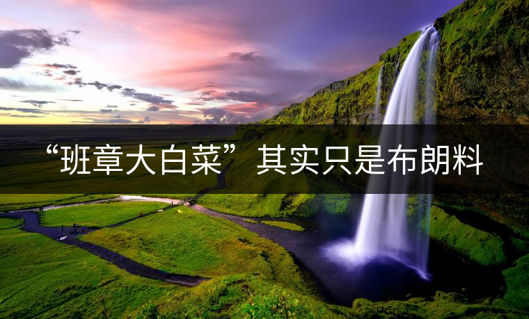 “班章大白菜”其實(shí)只是布朗料？
