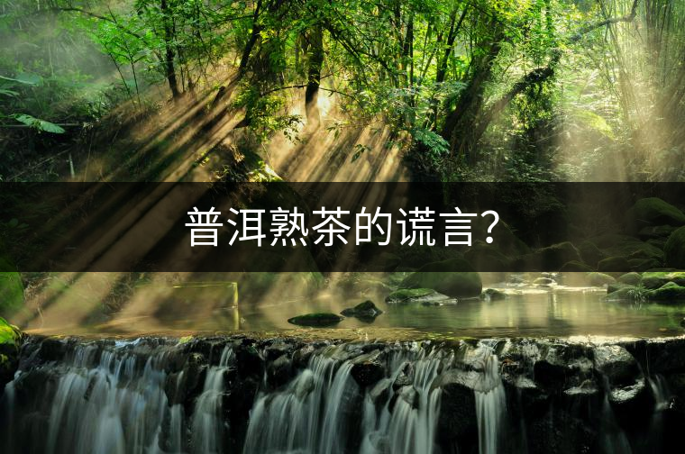 普洱熟茶的謊言？