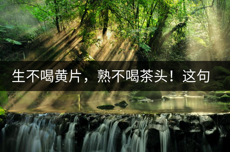 生不喝黃片，熟不喝茶頭！這句話你了解多少？