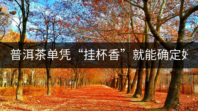 普洱茶單憑“掛杯香”就能確定好壞？you錯了！