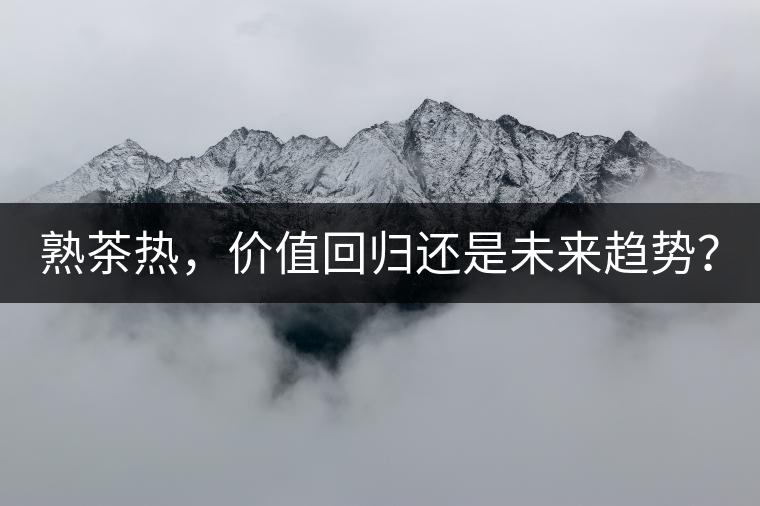 熟茶熱，價(jià)值回歸還是未來趨勢(shì)？
