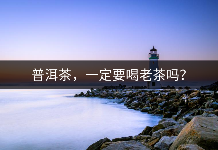 普洱茶，一定要喝老茶嗎？
