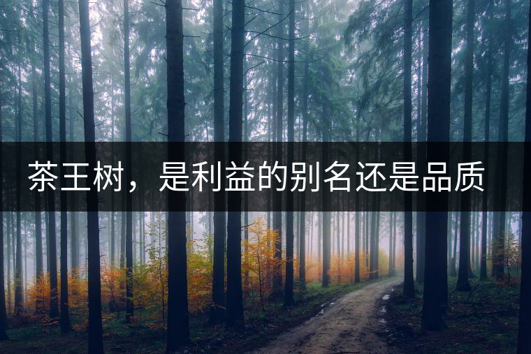 茶王樹，是利益的別名還是品質(zhì)的象征？