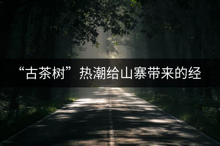 “古茶樹”熱潮給山寨帶來(lái)的經(jīng)濟(jì)發(fā)展是好是壞？