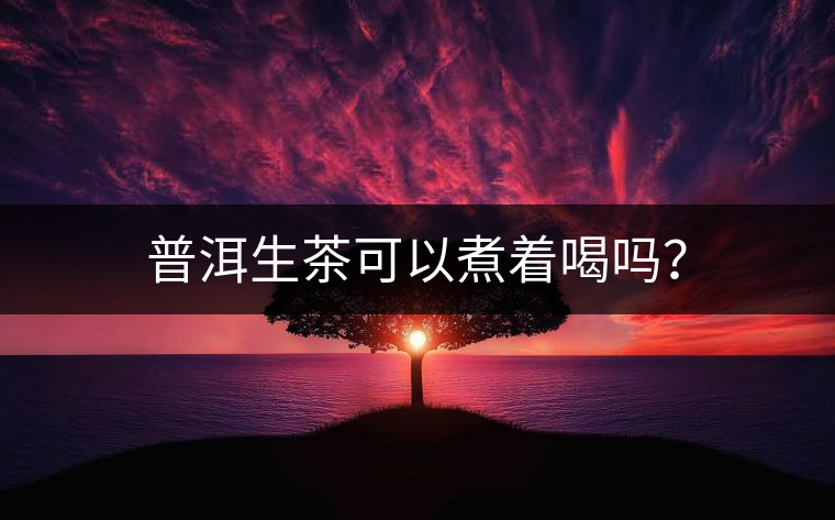 普洱生茶可以煮著喝嗎？