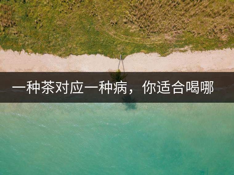 一種茶對應(yīng)一種病，你適合喝哪一種呢？