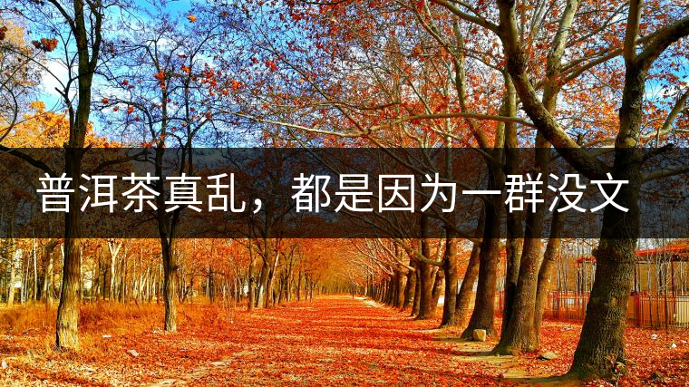 普洱茶真亂，都是因?yàn)橐蝗簺](méi)文化的人在瞎搞？真敢說(shuō)！