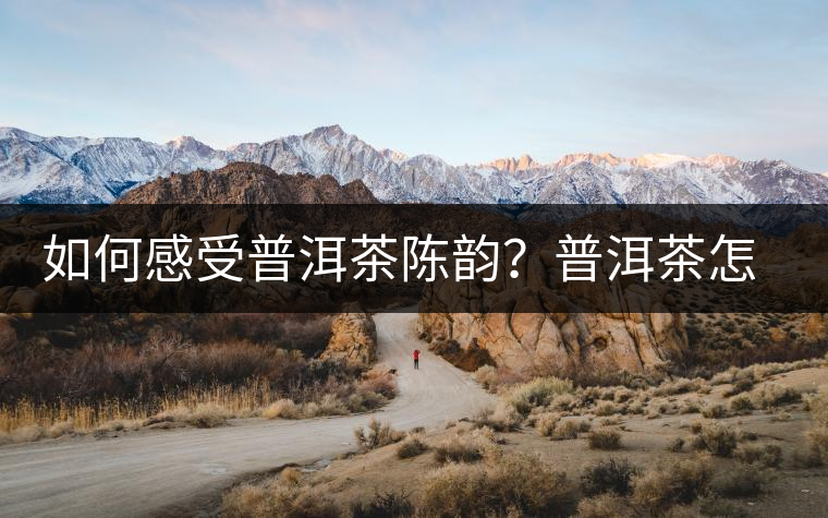 如何感受普洱茶陳韻？普洱茶怎么喝？