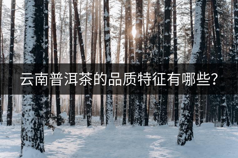 云南普洱茶的品質(zhì)特征有哪些？