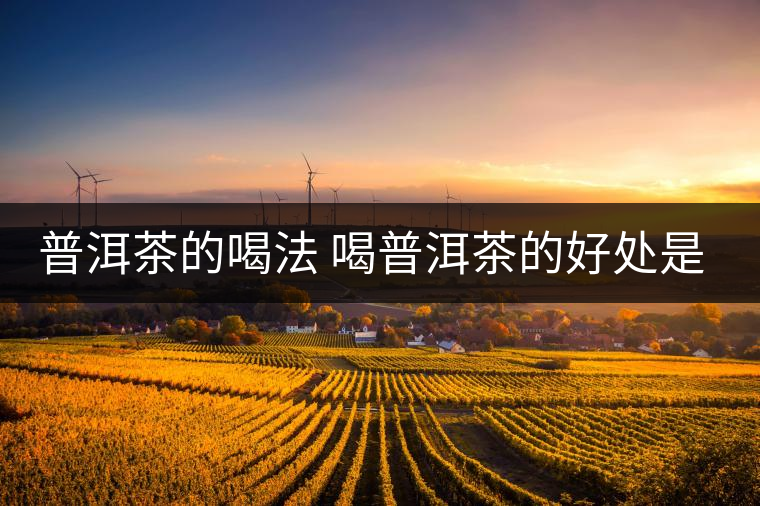 普洱茶的喝法 喝普洱茶的好處是什么？