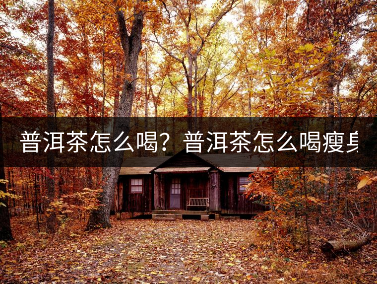 普洱茶怎么喝？普洱茶怎么喝瘦身？