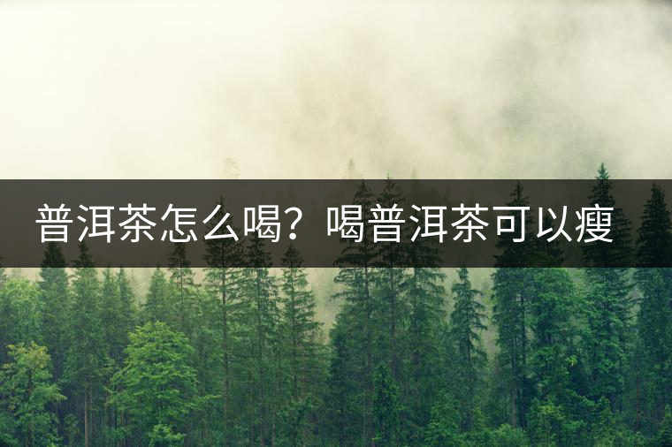 普洱茶怎么喝？喝普洱茶可以瘦腹嗎？