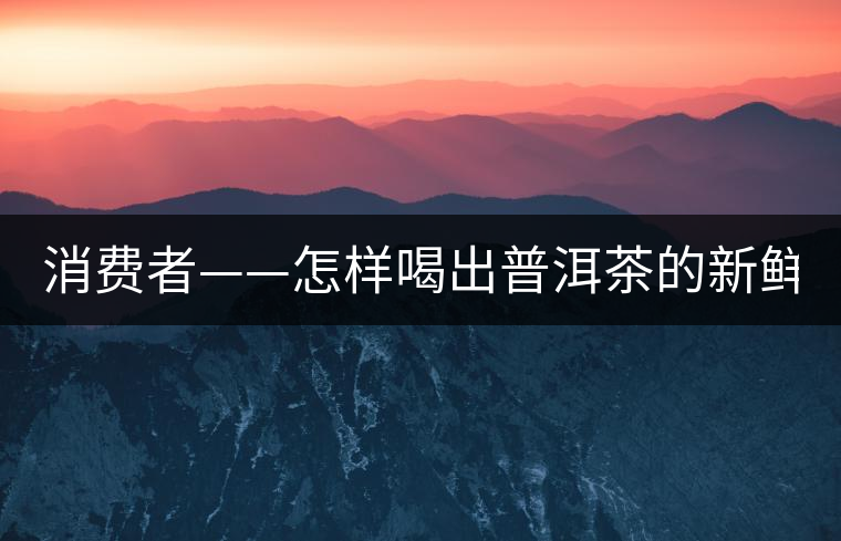 消費(fèi)者——怎樣喝出普洱茶的新鮮？