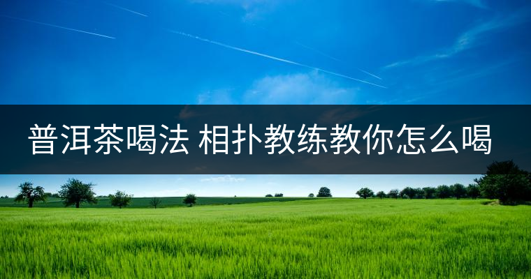 普洱茶喝法 相撲教練教你怎么喝普洱茶減肥？