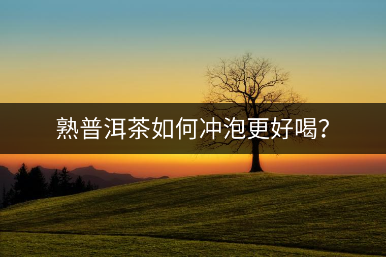 熟普洱茶如何沖泡更好喝？