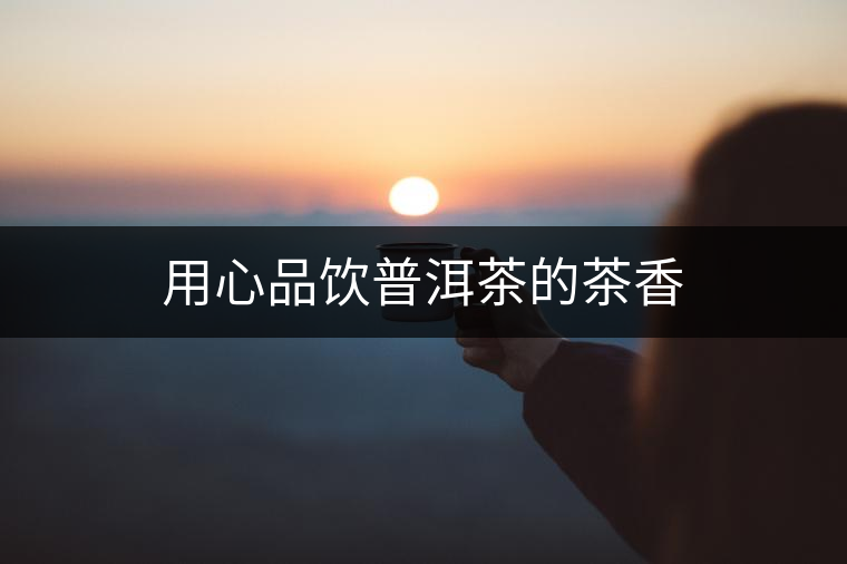 用心品飲普洱茶的茶香