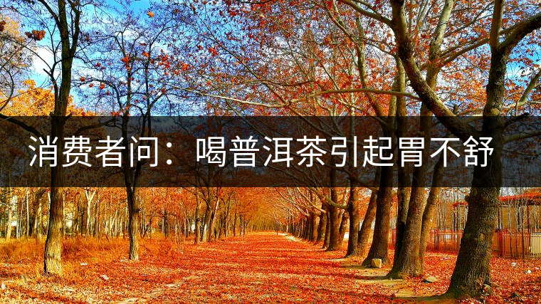 消費(fèi)者問：喝普洱茶引起胃不舒服怎么辦？