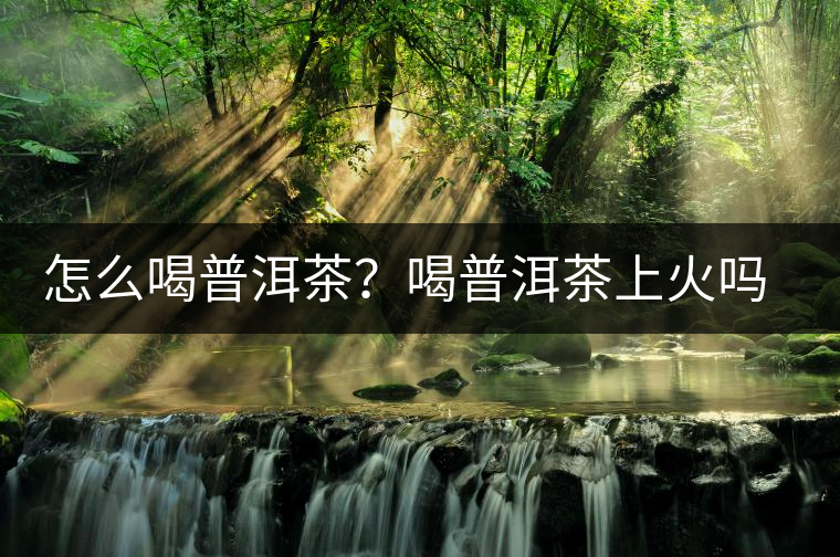 怎么喝普洱茶？喝普洱茶上火嗎？喝普洱茶會(huì)不會(huì)上火？