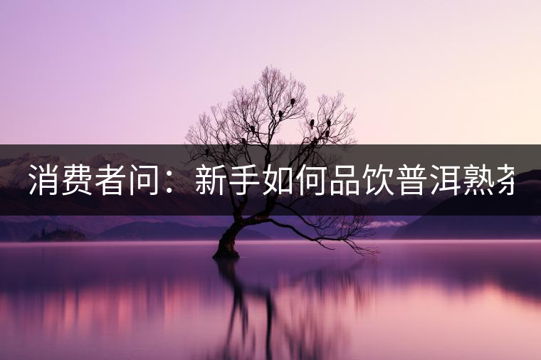 消費(fèi)者問：新手如何品飲普洱熟茶？