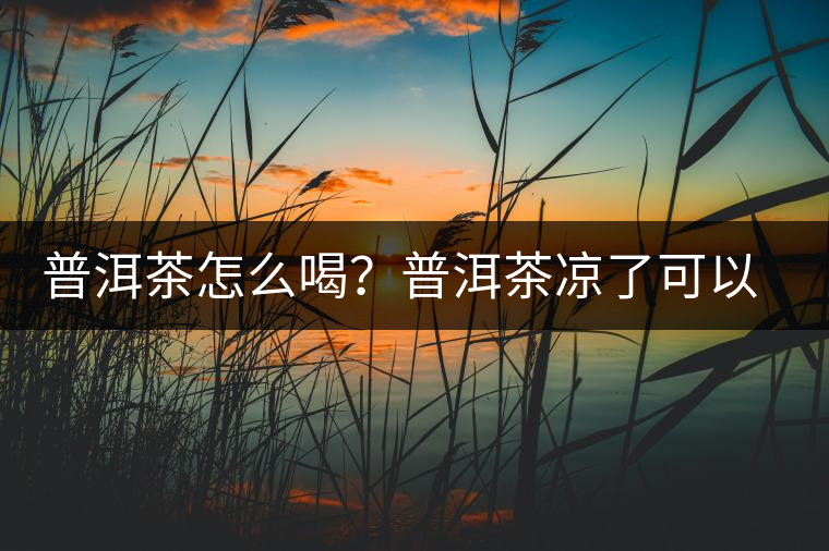 普洱茶怎么喝？普洱茶涼了可以喝嗎？