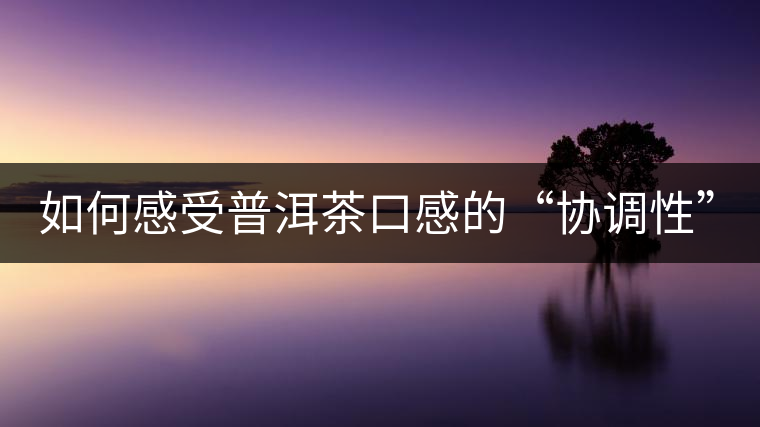 如何感受普洱茶口感的“協(xié)調(diào)性”？