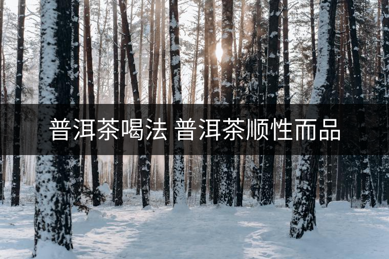 普洱茶喝法 普洱茶順性而品 普洱茶喝法 普洱茶順性而品