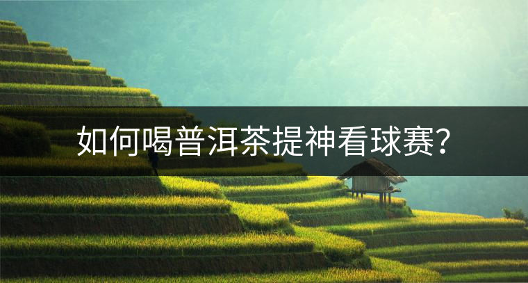 如何喝普洱茶提神看球賽？