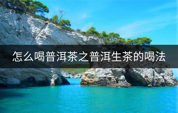 怎么喝普洱茶之普洱生茶的喝法