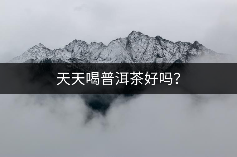天天喝普洱茶好嗎？