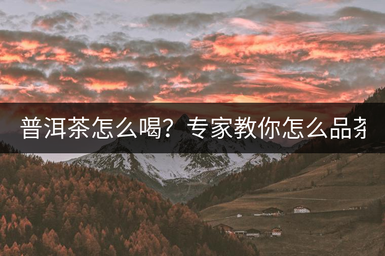 普洱茶怎么喝？專家教你怎么品茶？