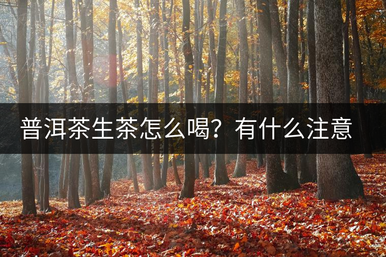 普洱茶生茶怎么喝？有什么注意事項(xiàng)嗎？