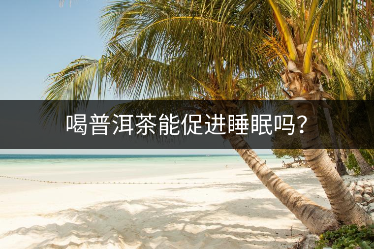 喝普洱茶能促進(jìn)睡眠嗎？