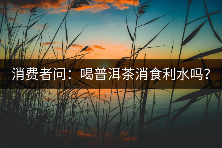 消費(fèi)者問：喝普洱茶消食利水嗎？